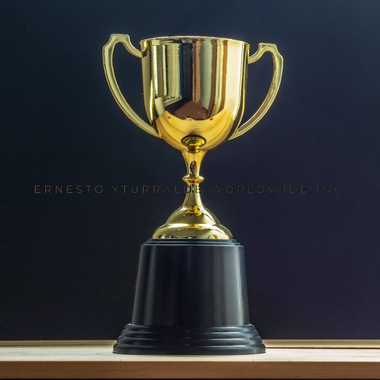 Team Building: Talleres para desarrollar Habilidades Blandas para el éxito